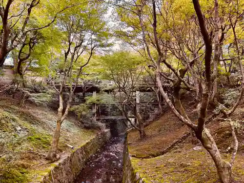 東福禅寺（東福寺）(京都府)