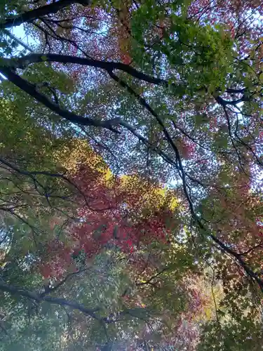 普門寺(切り絵御朱印発祥の寺)(愛知県)
