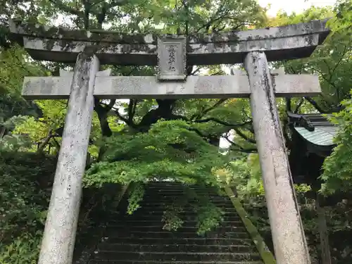 養父神社の鳥居