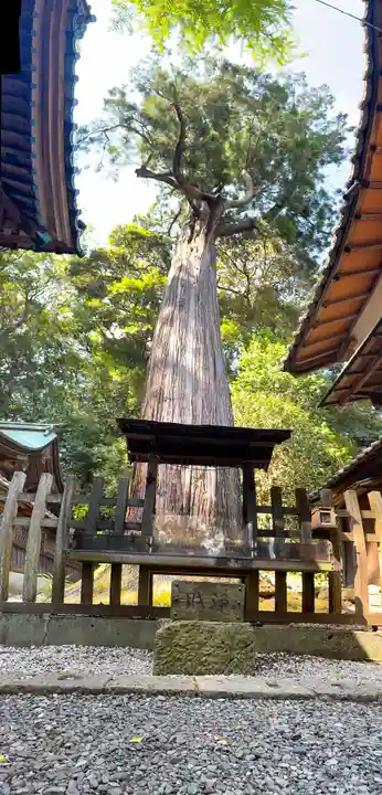 事任八幡宮(静岡県)
