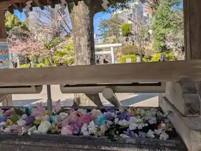鳩森八幡神社(東京都)