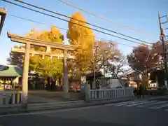 宮城氷川神社(東京都)