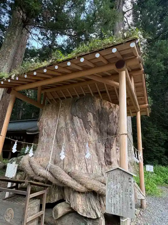 小國神社(静岡県)