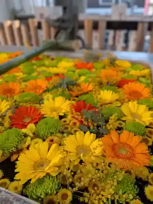 高円寺氷川神社(東京都)
