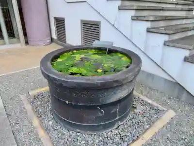 常圓寺のその他建物