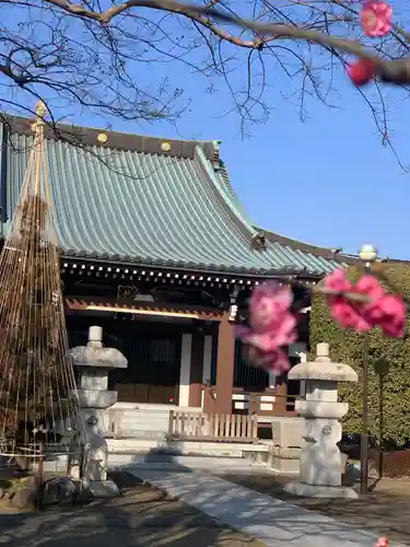 龍安寺の本殿・本堂