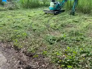 愛宕神社の自然(2020年08月03日(月) 22時23分53秒投稿)