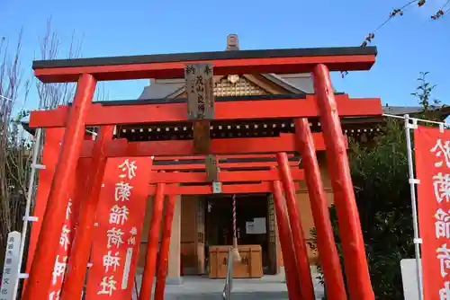 於菊稲荷神社の鳥居