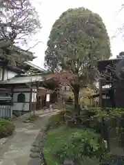 徳蔵寺の建物その他