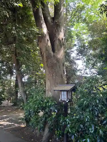 岩槻久伊豆神社(埼玉県)