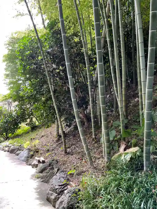 浄妙寺(神奈川県)