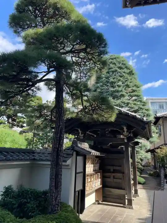 霊泉院(東京都)