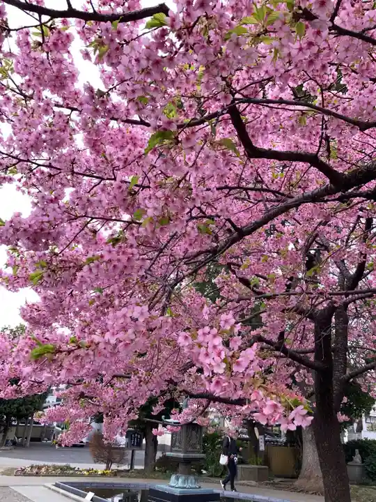 宗仲寺(神奈川県)