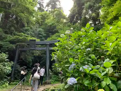 太平山神社の鳥居