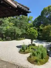 廬山寺（廬山天台講寺）の庭園