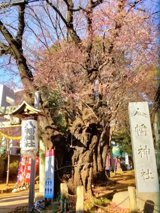 下高井戸八幡神社(東京都)