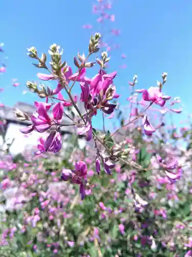瑞源寺(福井県)
