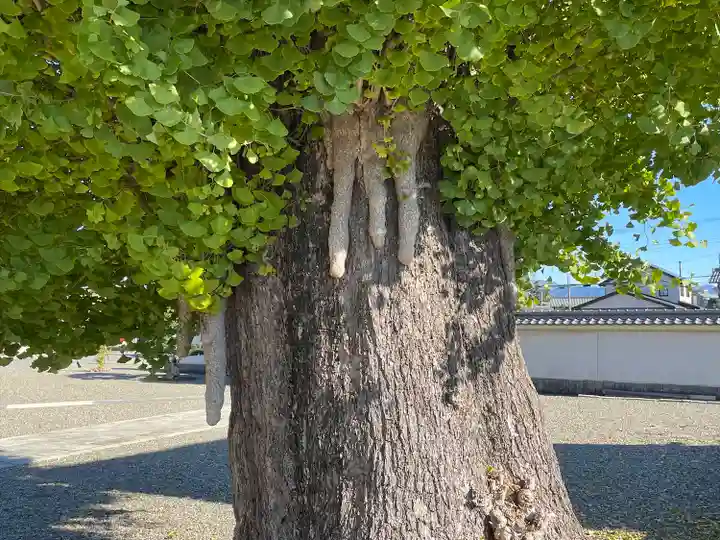 法蔵寺(滋賀県)