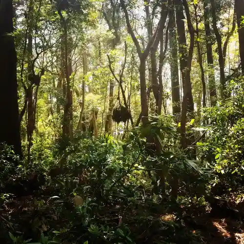鹿島神宮の自然