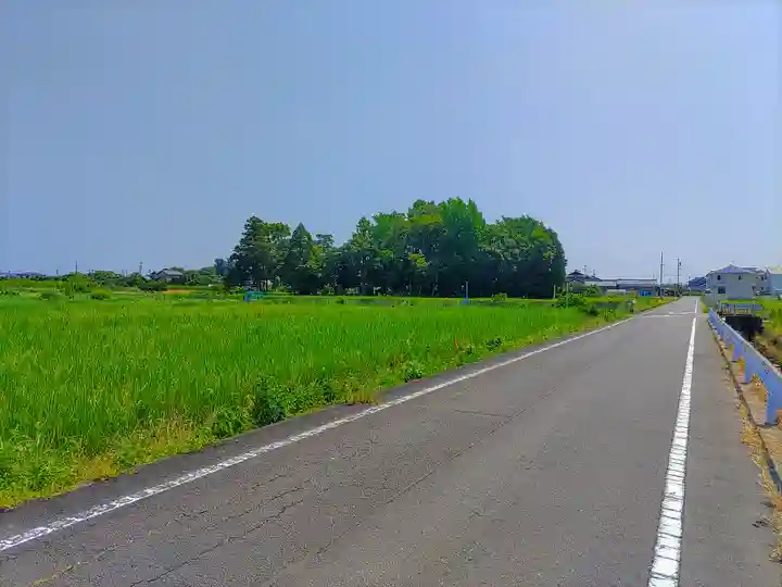 神明社(三丸渕上屋敷)の自然