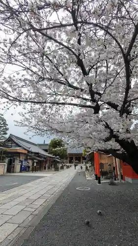 壬生寺(京都府)