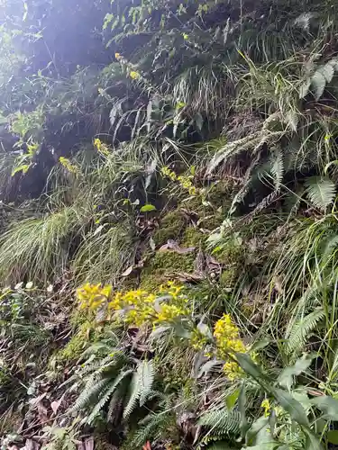 国上寺(新潟県)