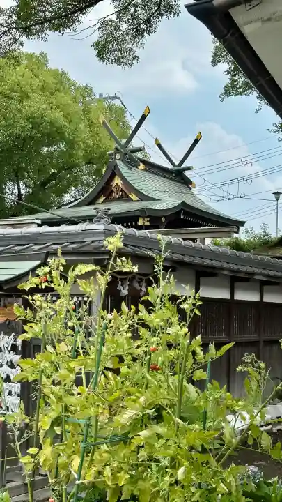 彌刀神社(大阪府)