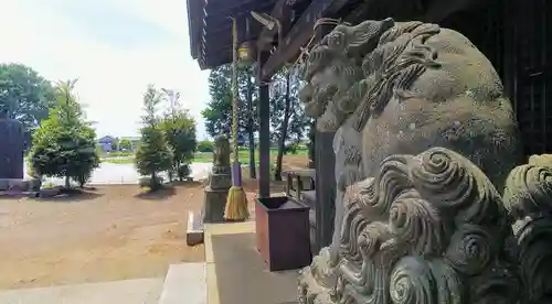 上水子ノ氷川神社の狛犬