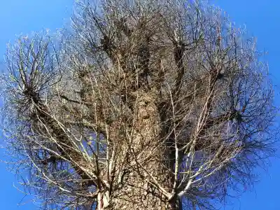 神明社の{uncategorized: "未分類", other: "その他", undefined: "問題あり", building: "その他建物", grave: "お墓", sacred_gate: "鳥居", guardian: "狛犬", statue: "像", buddha: "仏像", history: "歴史", nature: "自然", garden: "庭園", animal: "動物", pagoda: "塔", temizu: "手水舎", mountain_gate: "山門・神門", sanctuary: "本殿・本堂", subordinate: "末社・摂社", art: "芸術", scenery: "景色", jizo: "地蔵", ema: "絵馬", goshuin: "御朱印", omikuji: "おみくじ", items: "授与品その他", amulet: "お守り", goshuincho: "御朱印帳", eats: "食事", festival: "お祭り", votive_dance: "神楽", shichigosan: "七五三参", wedding: "結婚式", experience: "体験その他", initially: "初詣", around: "周辺", anti_infection: "感染症対策"}