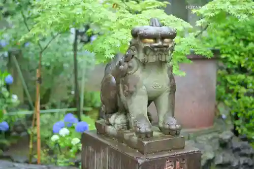 白山神社の狛犬