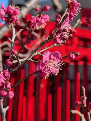 白山神社(東京都)