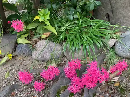 荘嚴浄土寺の自然