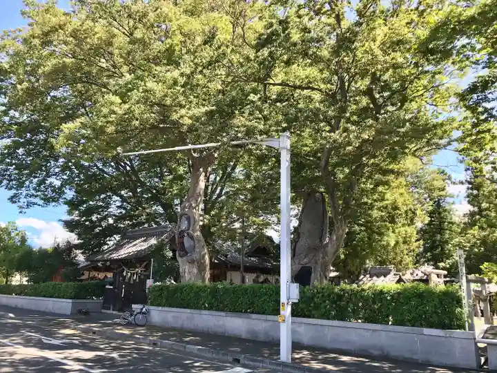松本神社(長野県)