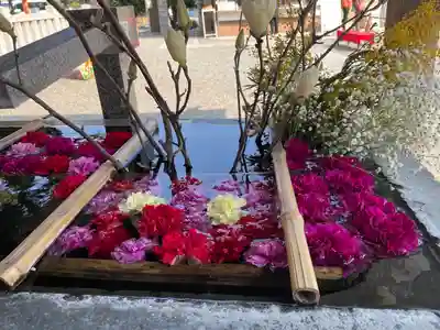 草加神社の手水舎