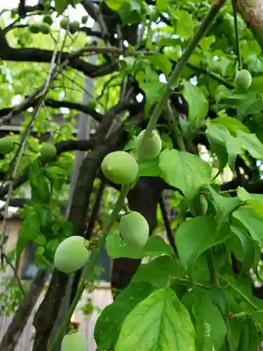 成願寺(東京都)