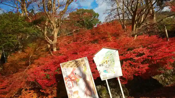 出雲大神宮の自然