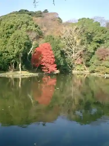 鶴岡八幡宮の庭園