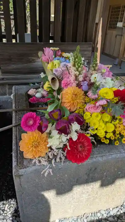 勝林寺(京都府)