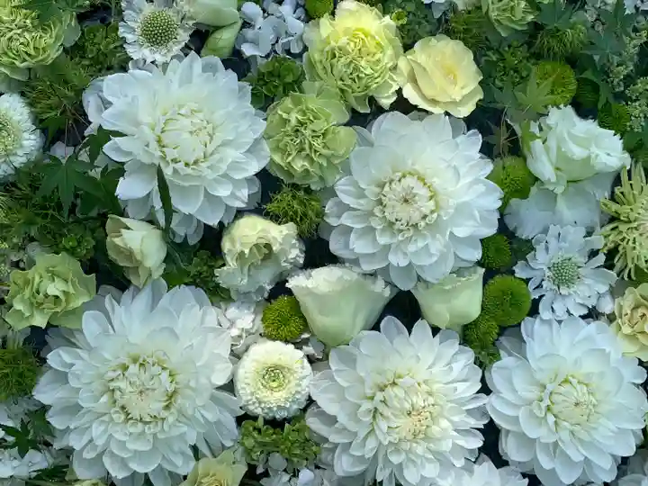 浄誓寺(大阪府)