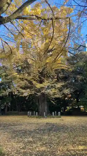 赤坂氷川神社(東京都)