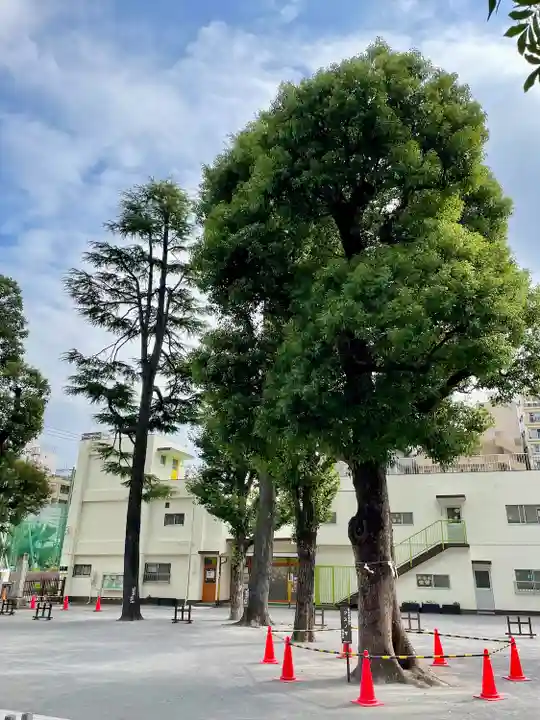 お三の宮日枝神社(神奈川県)