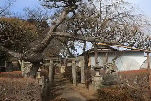 天満神社の鳥居