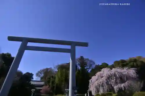 櫻木神社(千葉県)