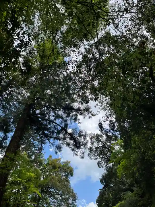 元伊勢天岩戸神社(京都府)