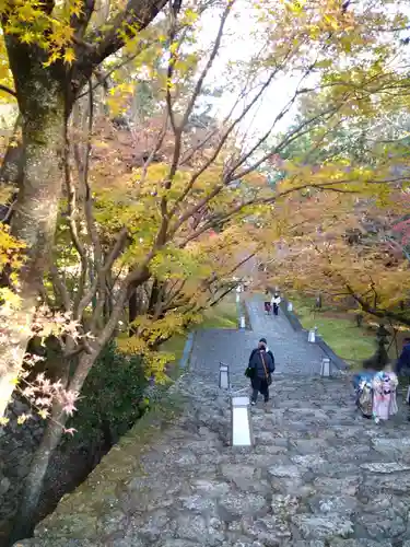 竹林寺の景色