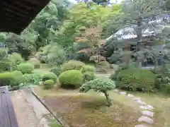 隨心院（随心院）の庭園