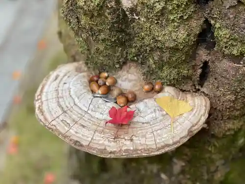 永源寺(滋賀県)