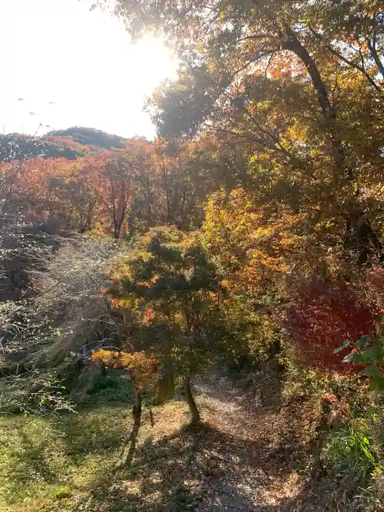 成身院 百体観音堂(さざえ堂)(埼玉県)