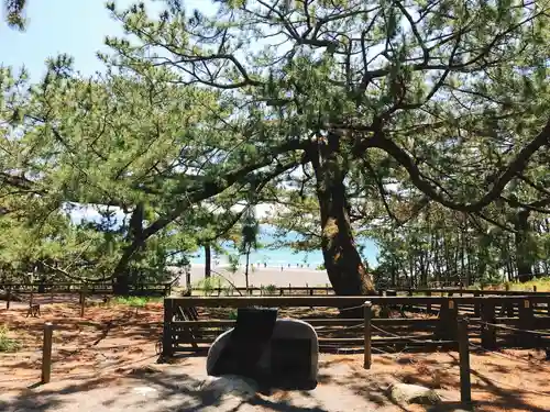 御穂神社の自然