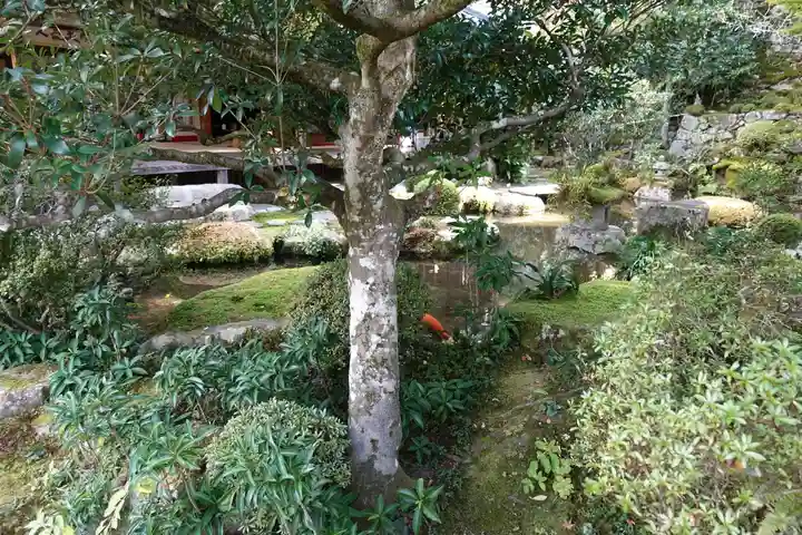 実光院の庭園